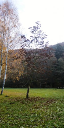 Ansicht Zeltplatz Herbst 2